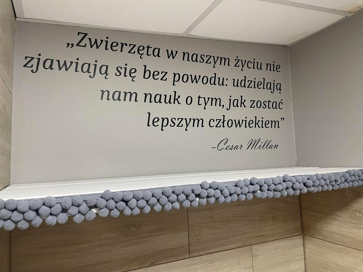 Zdjęcie z apartamentów Psia Forteca nr 13