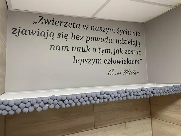 Zdjęcie z apartamentów Psia Forteca nr 13