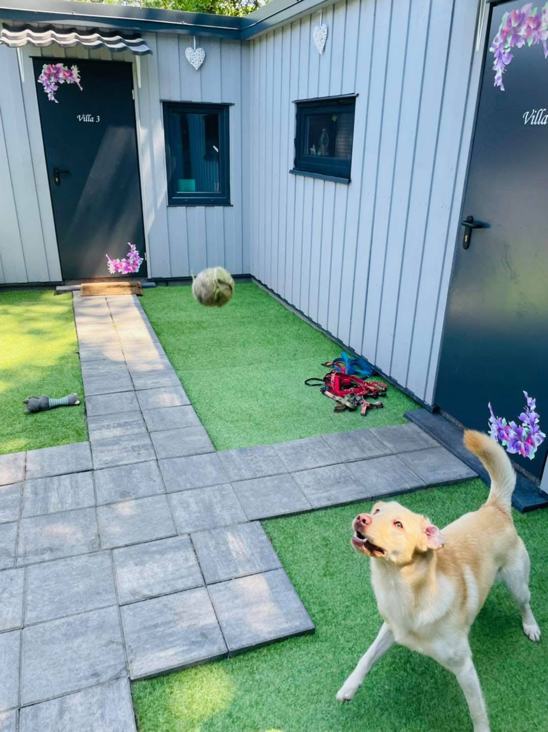 Zdjęcie z apartamentów Psia Forteca nr 14
