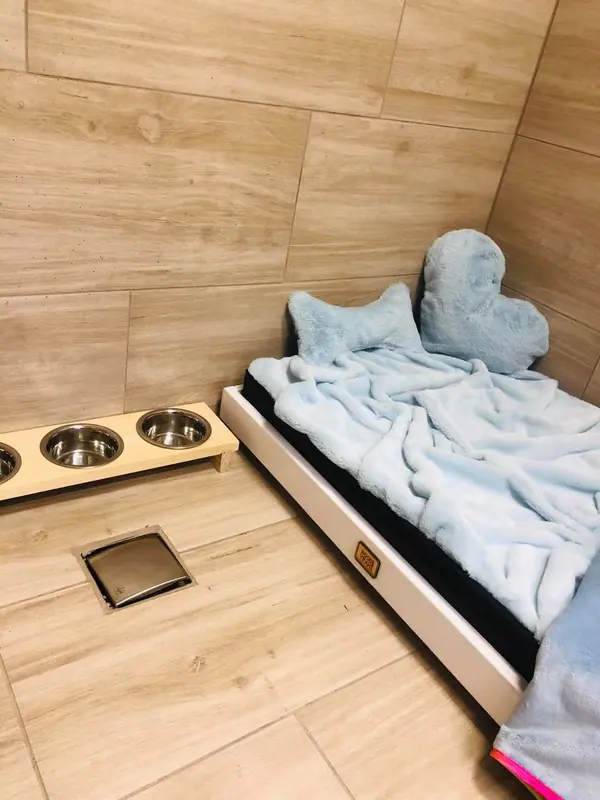 Zdjęcie z apartamentów Psia Forteca nr 15