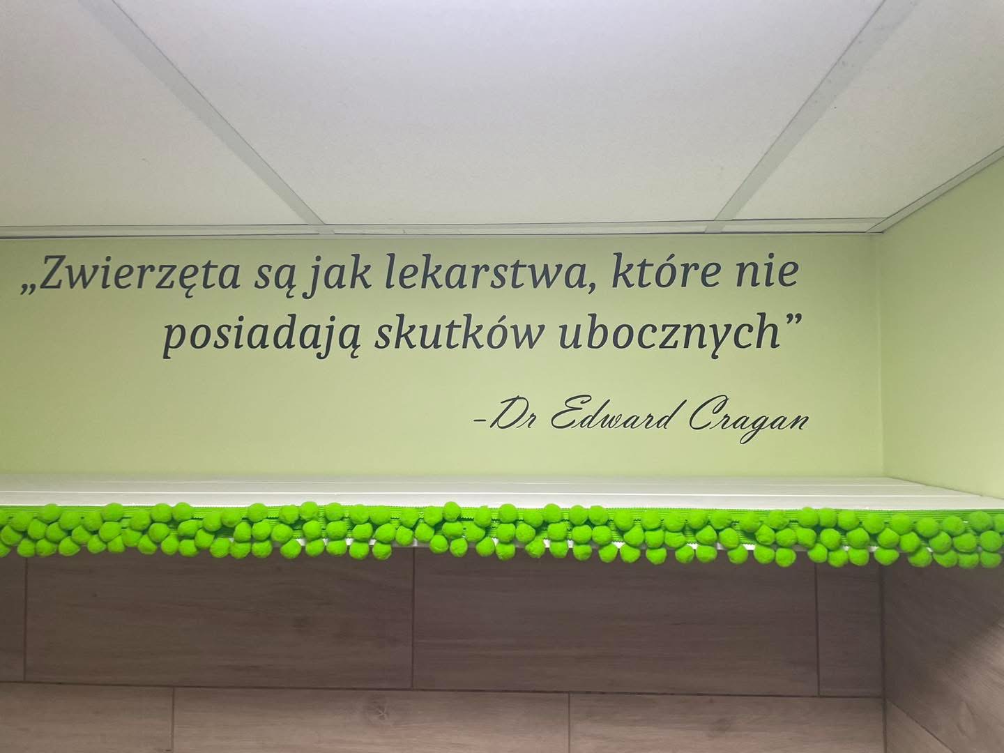 Zdjęcie z apartamentów Psia Forteca nr 18