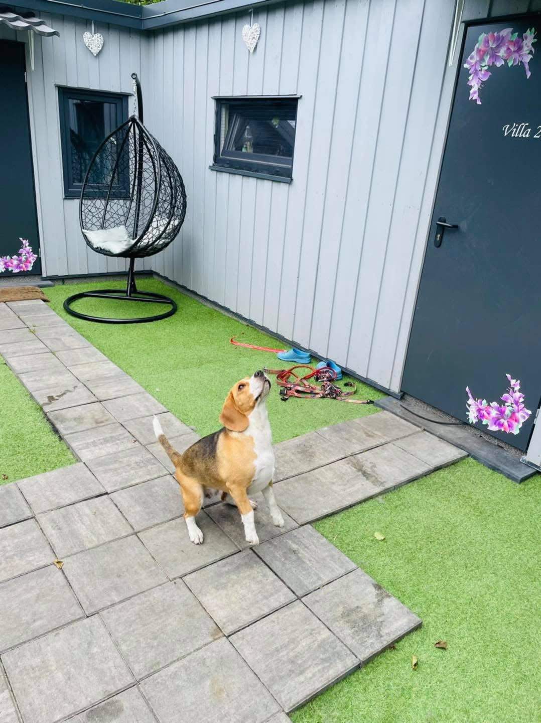 Zdjęcie z apartamentów Psia Forteca nr 20