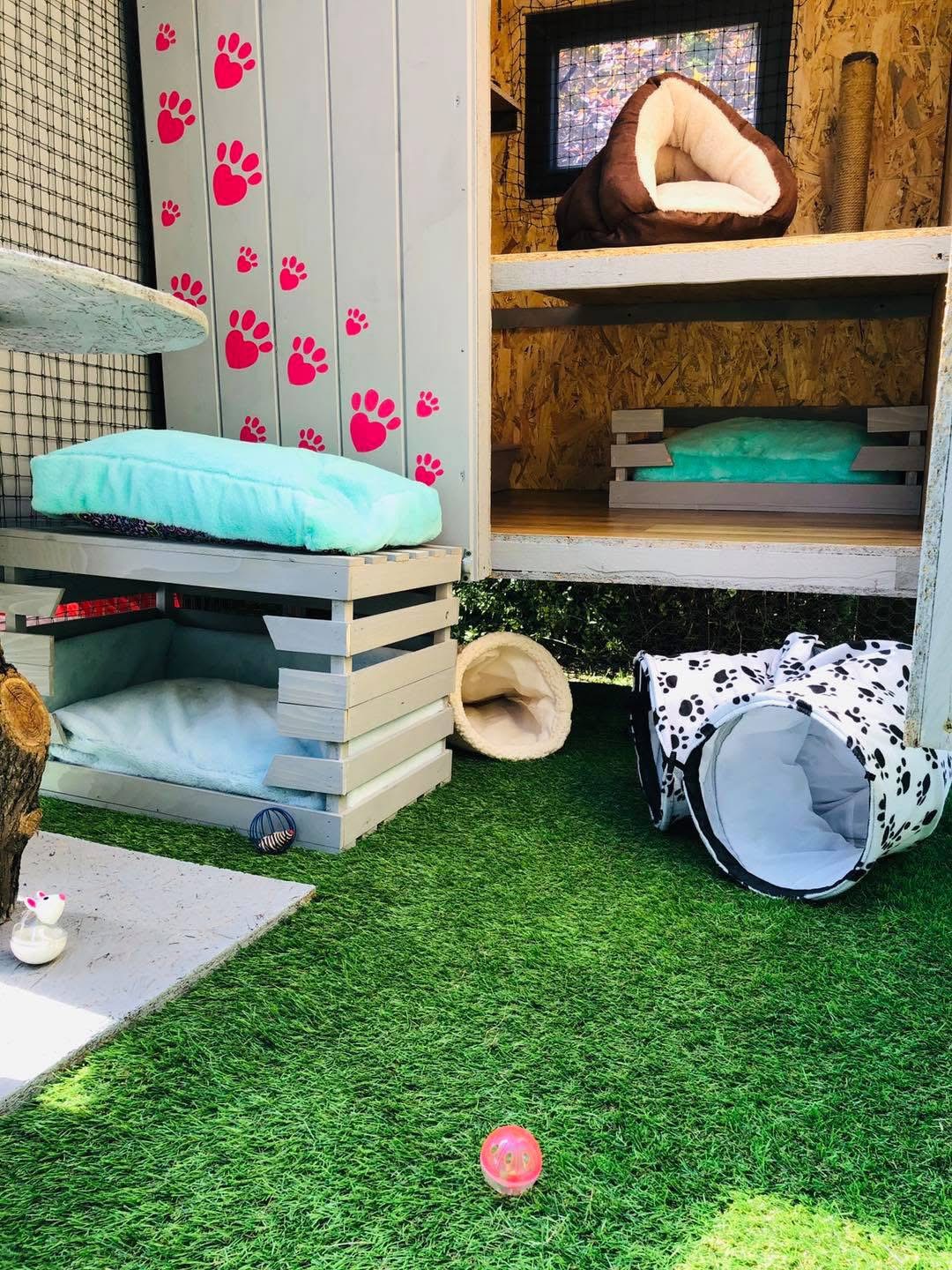 Zdjęcie z apartamentów Psia Forteca nr 21