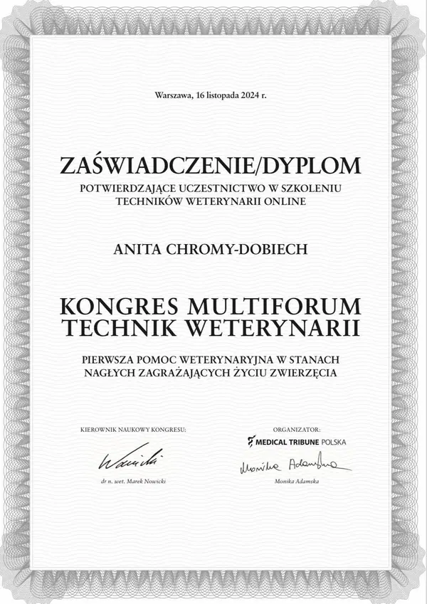 Psia Forteca – ogrzewana podłoga w pokoju